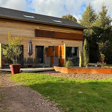 Duplex Le Corten, Terrasse Et Jardin Gerardmer Ngoại thất bức ảnh